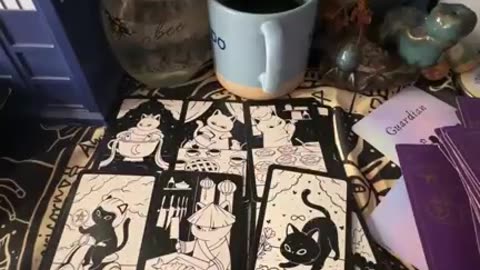 Earth Signs #taurus #virgo #capricorn #leoseasonmessages