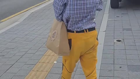 Seoul Cat Strolls Through City On Shoulder