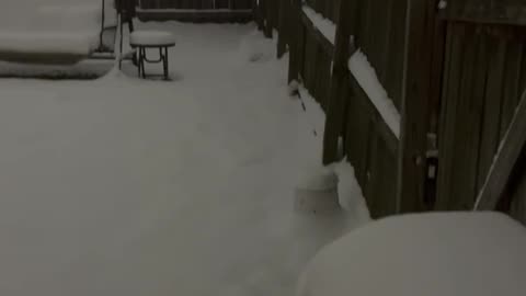 Memphis Snowstorm 2025 #weather