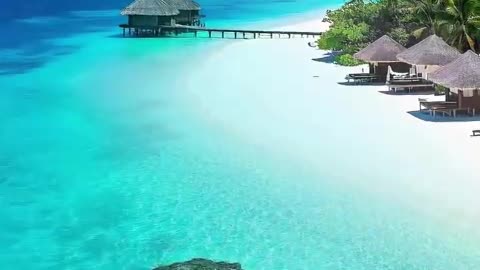 Sunset Paradise in America | Relaxing Ocean View with Boats & Nature Sounds