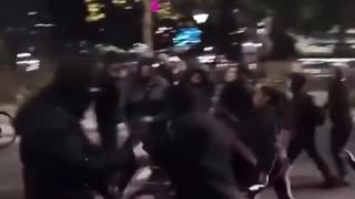 Look at this fresh filth from Piccadilly Gardens, Manchester