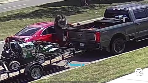 Diversity liberates landscaping equipment