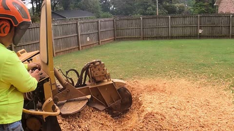 “What to Do After Stump Grinding to Grow Grass Fast”