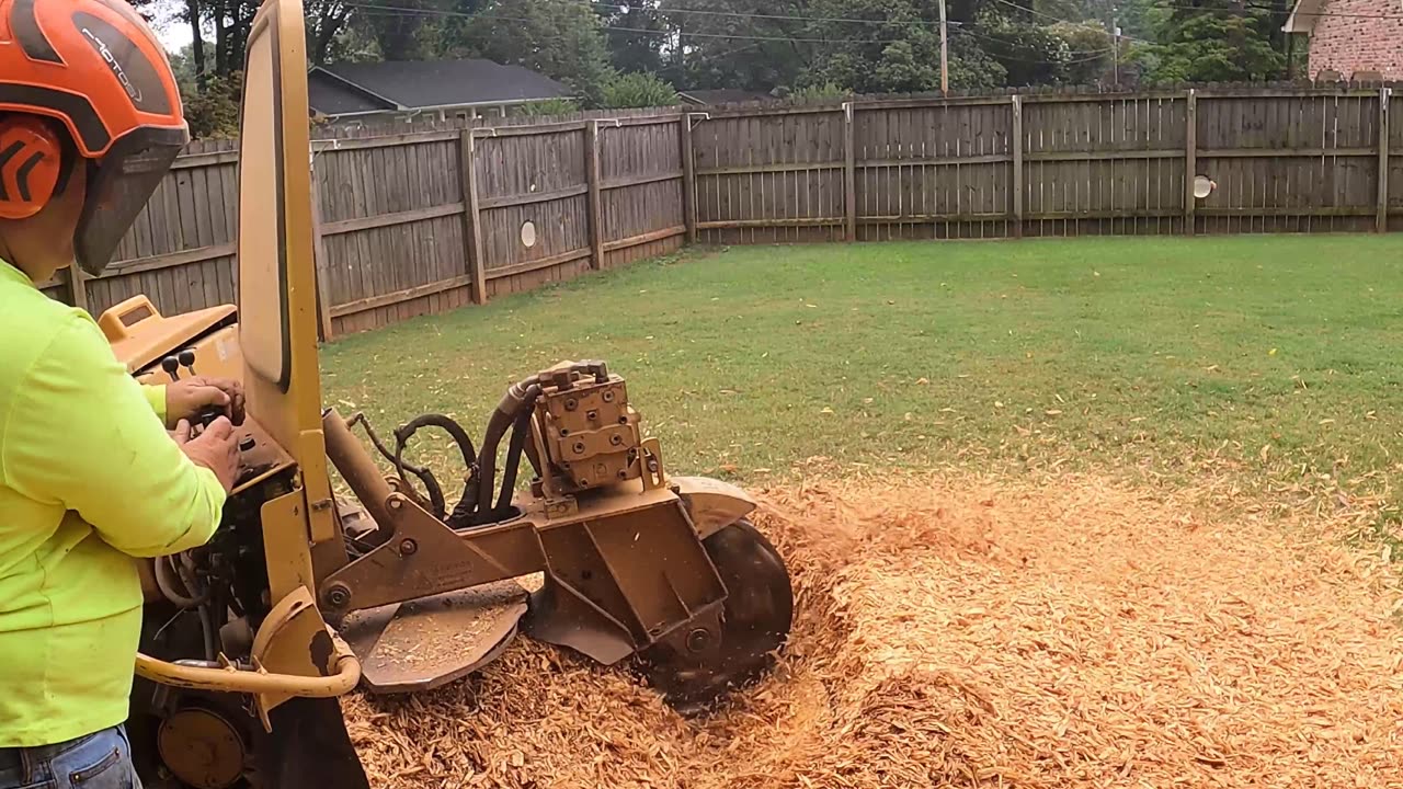 “What to Do After Stump Grinding to Grow Grass Fast”