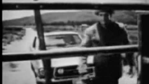 Commercial - 1966 Ford Mustang full line