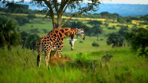 MOST BEAUTIFUL PLACES VIEW FULL HDR VIDEO 🔥 DOLBY VISION