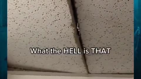 😱👻 The Most Bizarre Ouija Board Session! #GhostlyToksa Ouija, Jinn, Aliens, Poltergeist, UFO, Skinwa