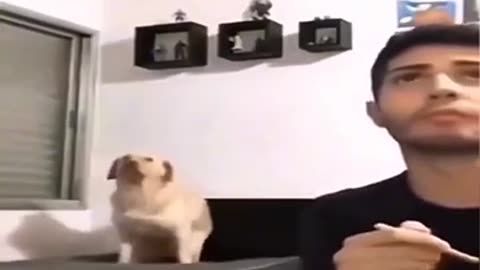 Don’t click the sound. I beg!