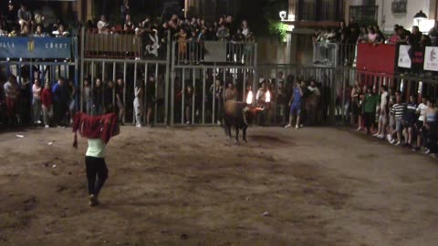 TOROS EMBOLADOS 21 mayo 2025 FIESTAS SANTA QUITERIA 2025