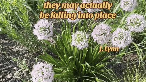 J. Lynn 💕: Quote