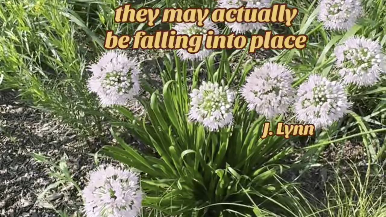 J. Lynn 💕: Quote