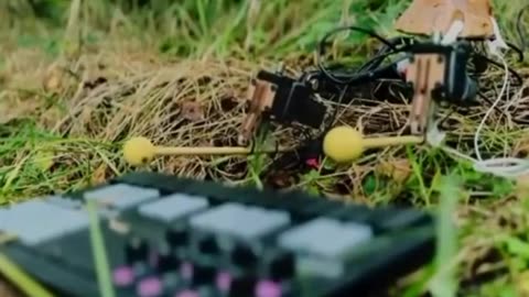 The talking mushrooms