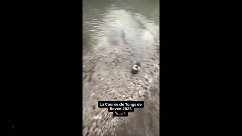 We men are such nutty creatures - so simply entertained.... clip of a shoe race