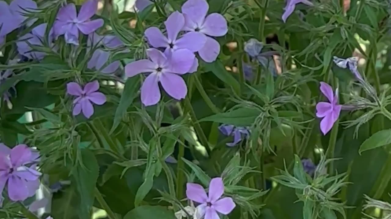 Rise of awareness and understanding