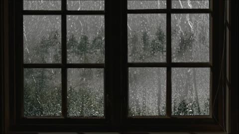 Live now rain