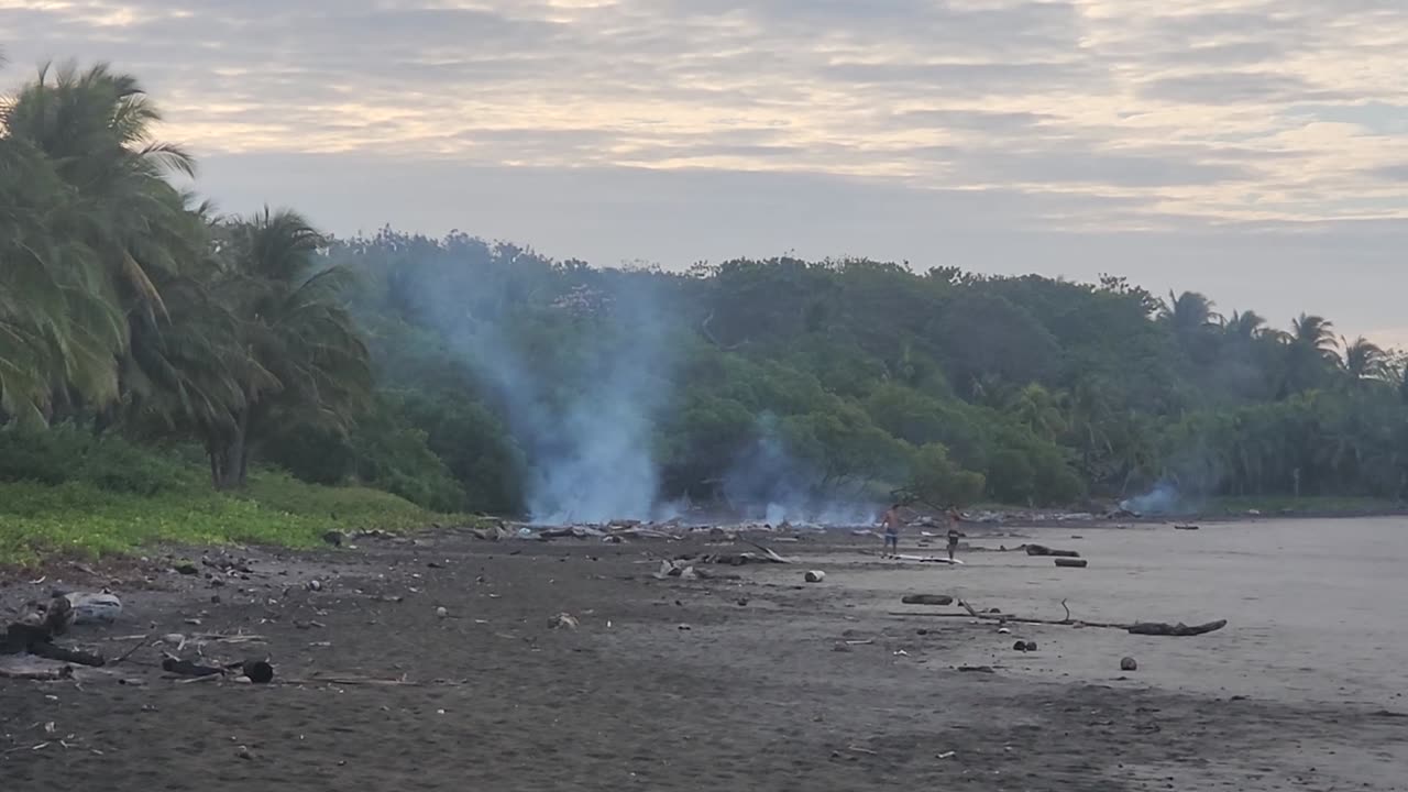 1/30/25 Burning logs at the mouth of the rivers