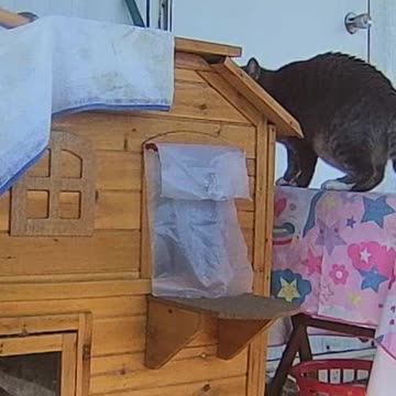 EA S141 - Always Watching