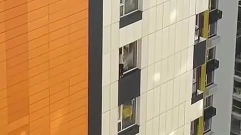 When clean windows are worth more than your life
