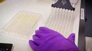 Creating Non Biological Life