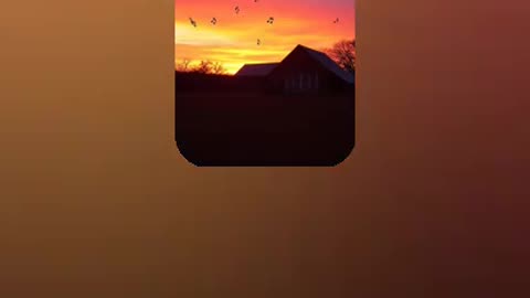 country blues 2