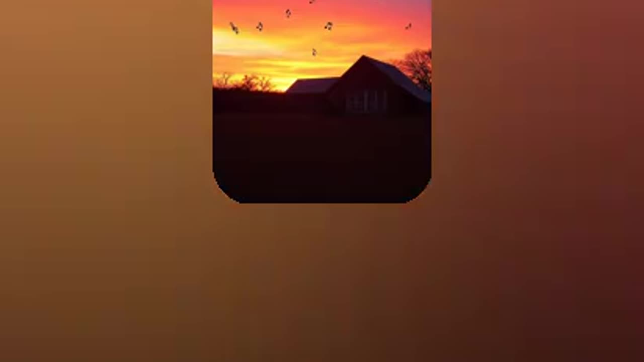country blues 2