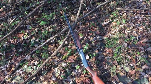 Hunting Seasons 2018 and 2019