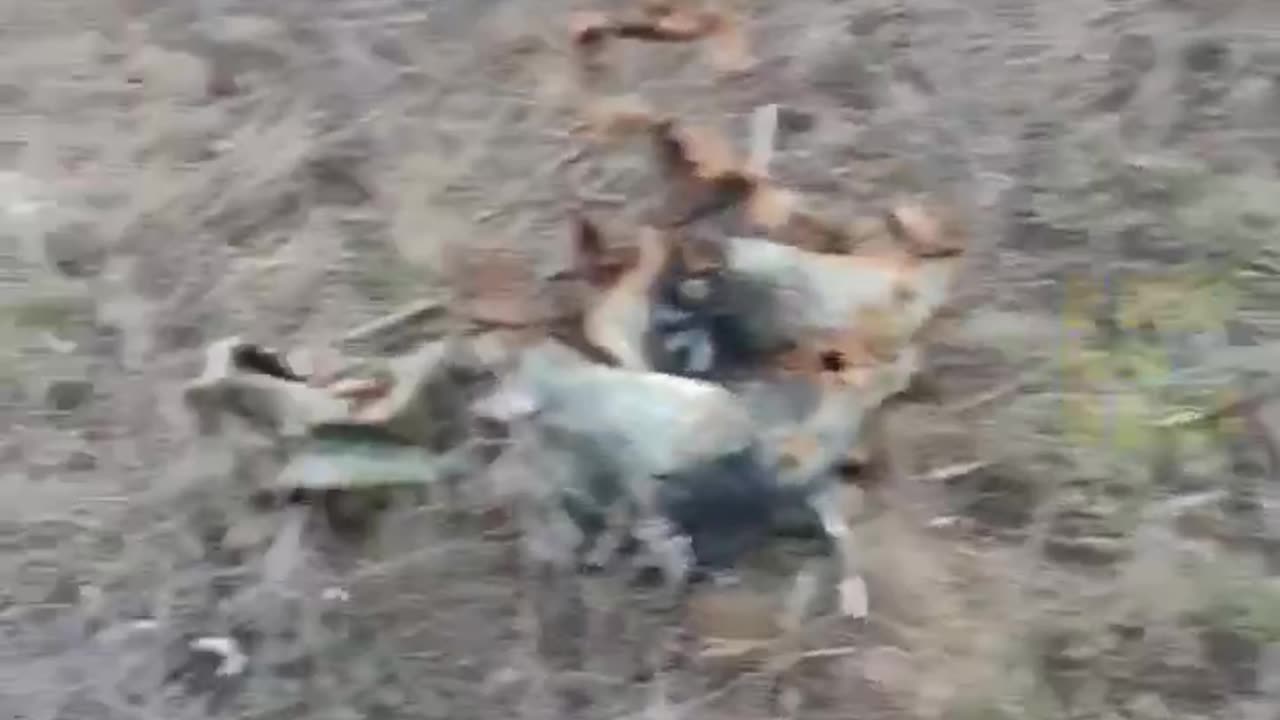 Russian Soldier Returns to Site Where He Lost Entire Unit When Tank Exploded
