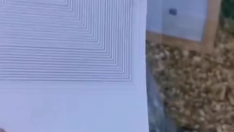 Tim Rifat TikTok Videos