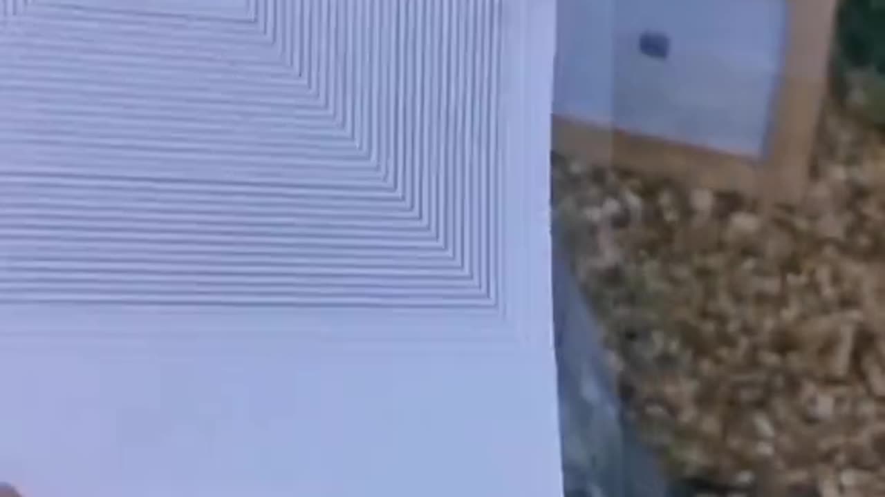 Tim Rifat TikTok Videos