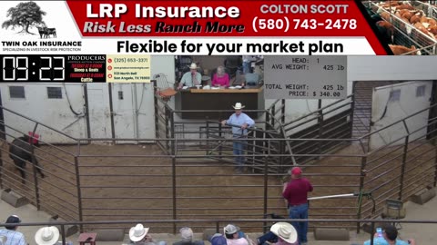 6/19/2025 - Cattle Auction - Producers Livestock Auction Company