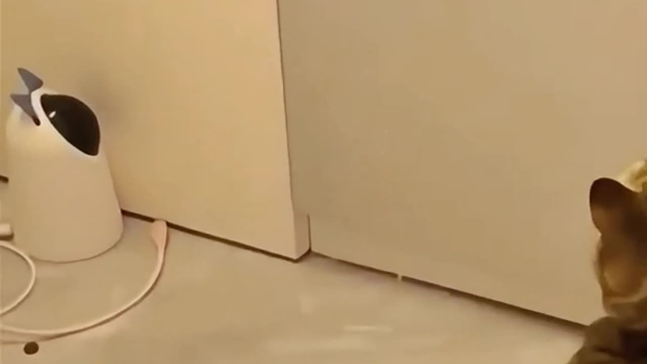 For sleeping and fighting again