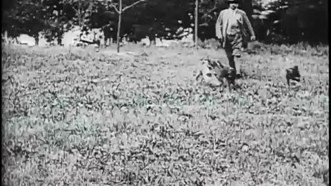 Scenes of Theodore Roosevelt at Sagamore Hill, 1912