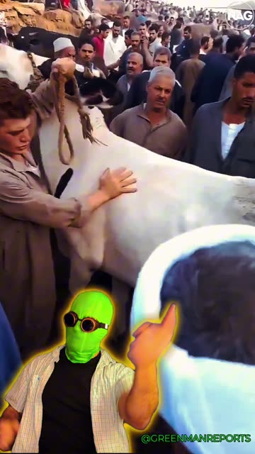 CRAZY STUFF FROM THE 3RD WORLD #1 w/Greenman reports