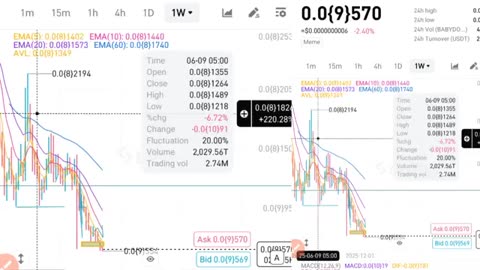 Baby Dogecoin Will Hit 0.01 USD Soon