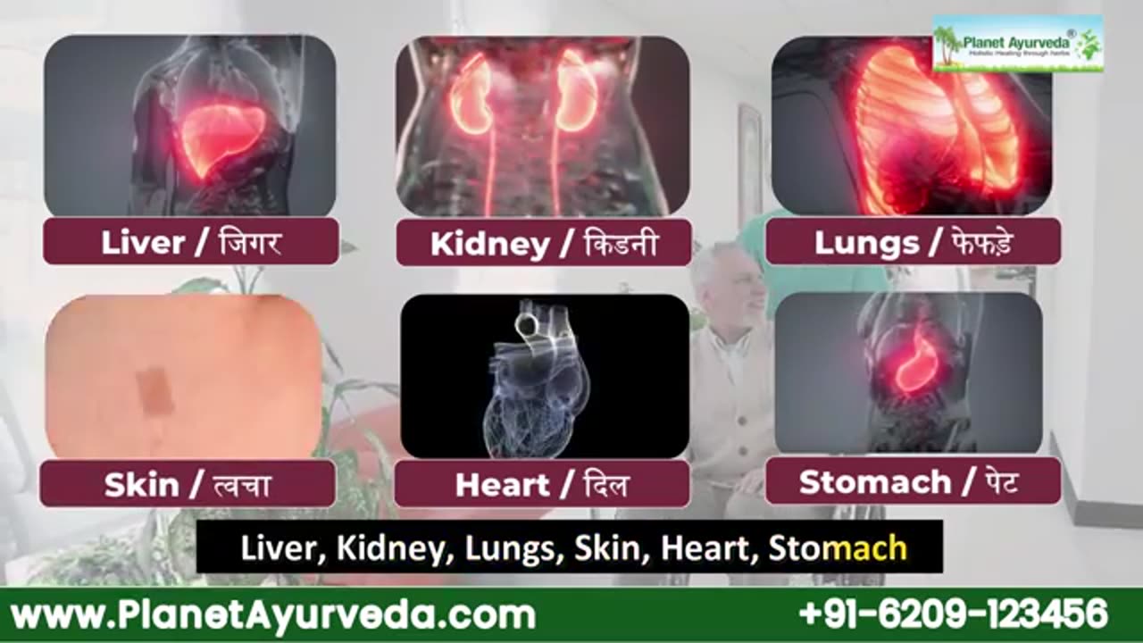 74.3 kPa to 36.6 kPa - Liver Cirrhosis Reversal