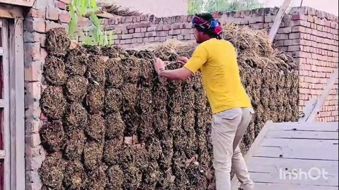 "جب کام الٹا پڑ جائے 😂 | دیہاتی