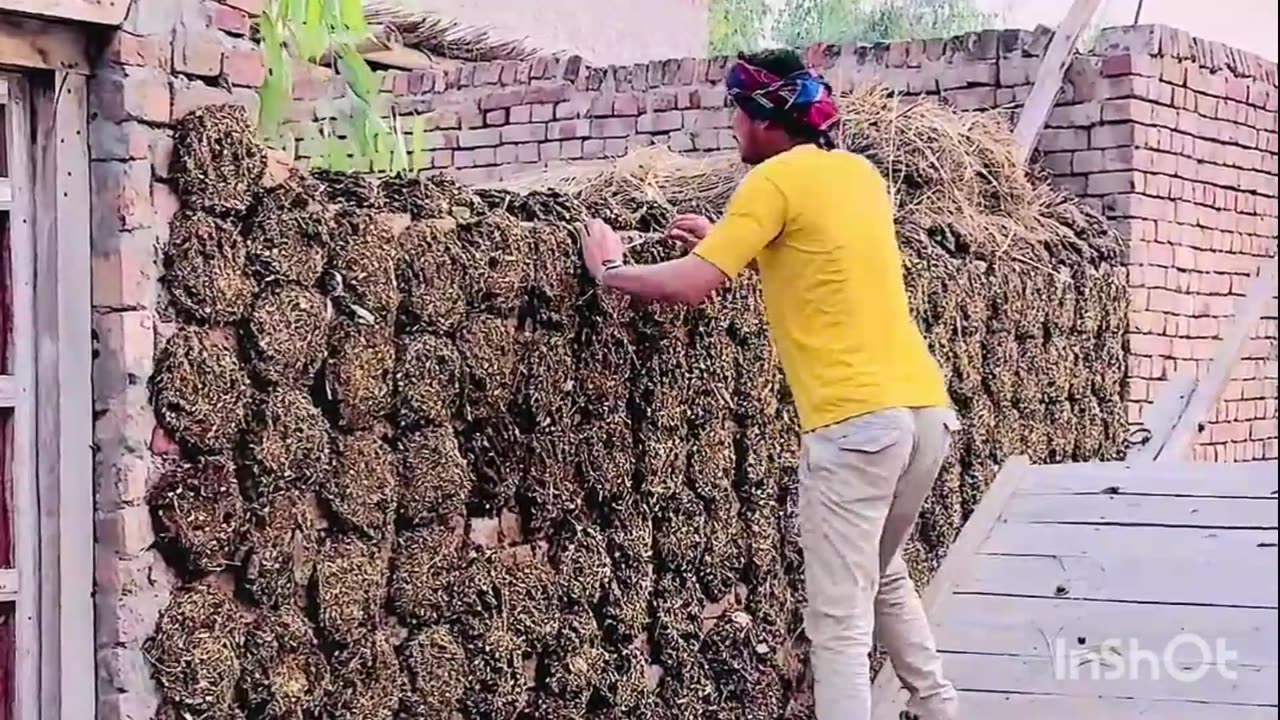 "جب کام الٹا پڑ جائے 😂 | دیہاتی