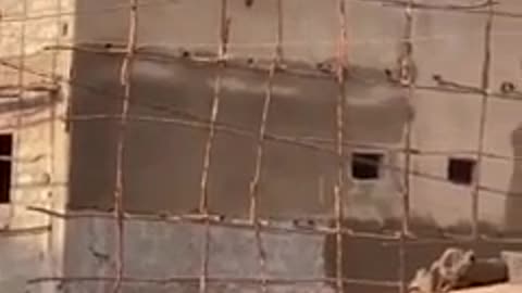 There is a method to check if a fence is under voltage, even for those with a 70 IQ..