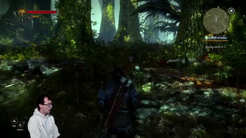 Witcher 2 with things and stuff and things with stuff