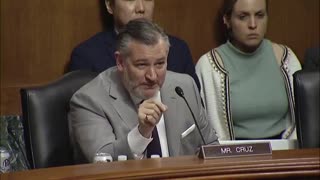 Ted Cruz Rips Witness' 'Moonbeam Wacky' Climate Murder Theory