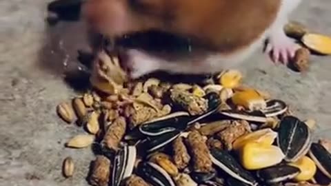 😱🍽️ When You Already Started Eating and Someone Says Let's Pray! | FunFM