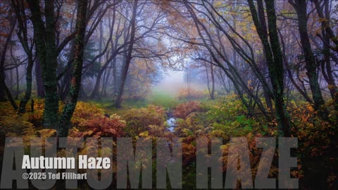 Autumn Haze