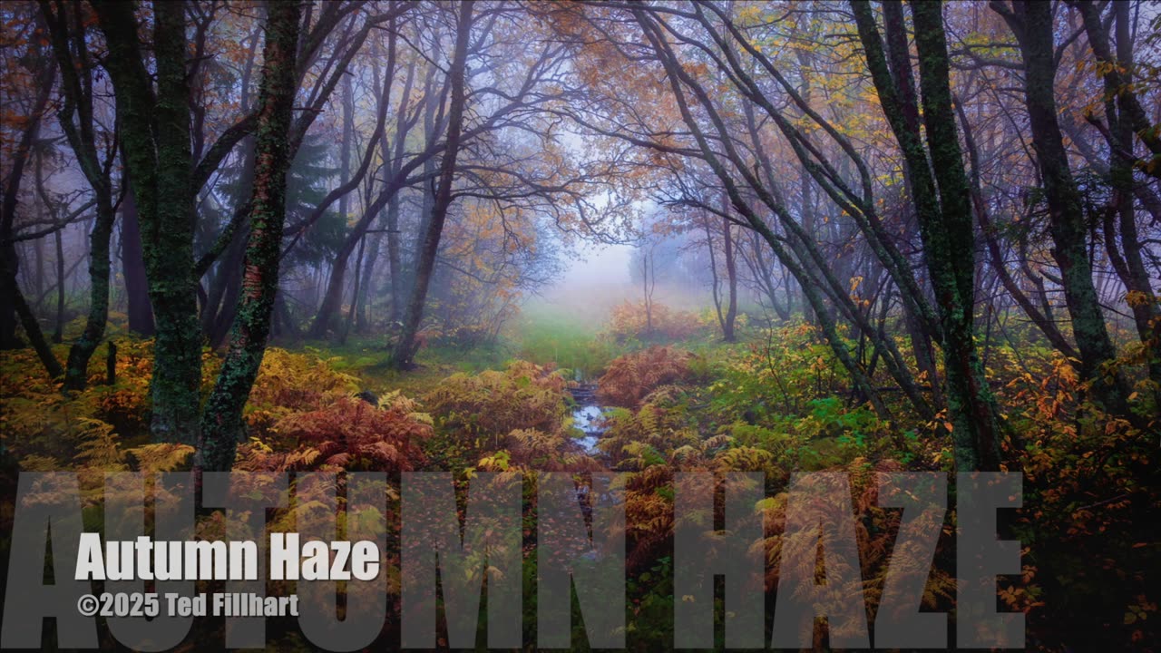 Autumn Haze