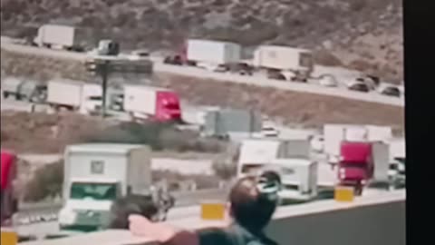 Lady stops on freeway to rescue cat