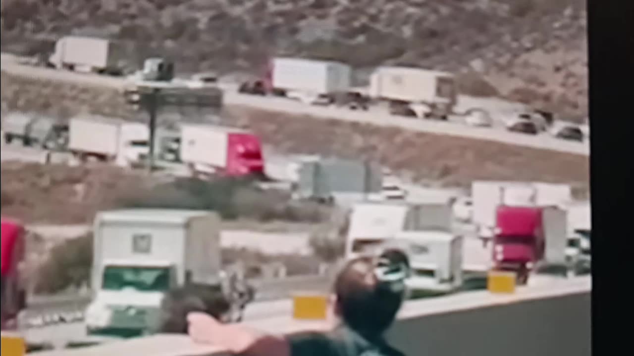 Lady stops on freeway to rescue cat