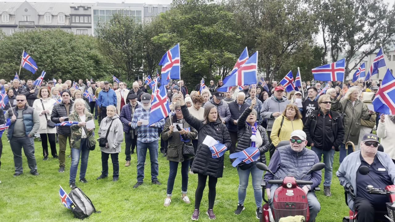 Ísland þvert á flokka