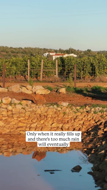 🌧️ Jonas explains the water catchment in the percolation pond...