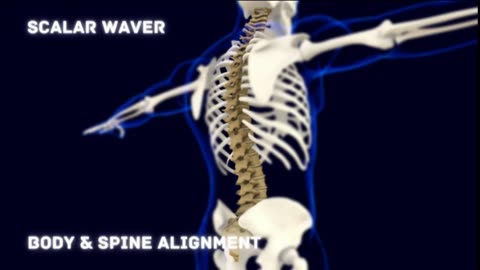 Body & Spine Alignment +33X