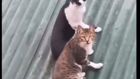 Glitches In The Matrix
