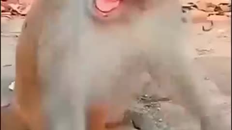 Cute baby dancing